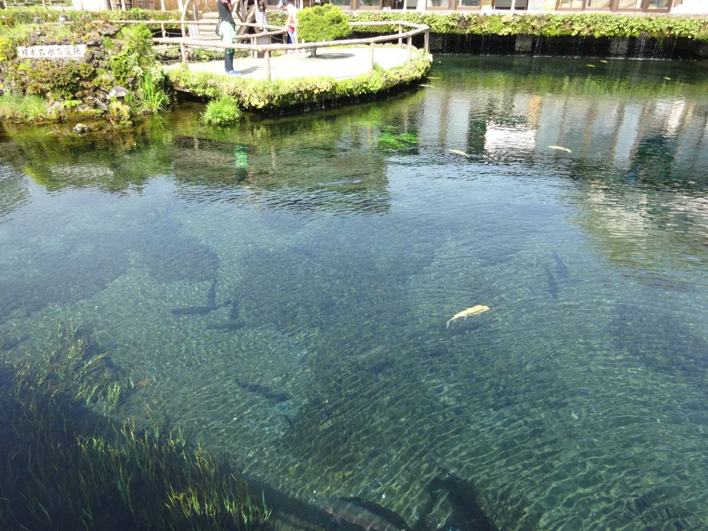 杖 車椅子旅行ツアー 世界遺産富士山 忍野八海 箱根関所 河口湖温泉 貸切風呂利用 10月4日出発2日 心の翼 バリアフリーツアー