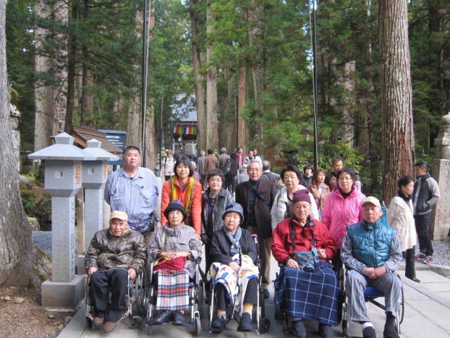 杖 車椅子旅行pcr検査付ツアー 吉野千本桜の見学と世界遺産高野山と橿原神宮２日 心の翼 バリアフリーツアー